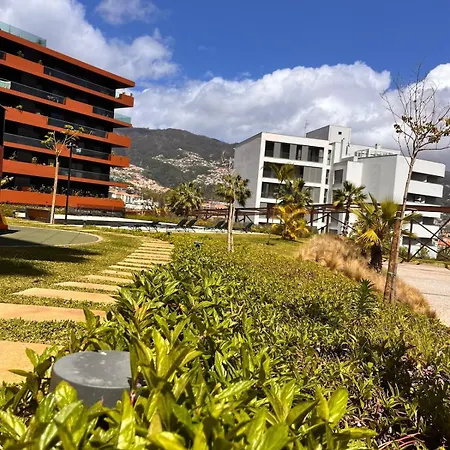 Panorama Calling Unique Individual Amazing Views Funchal (Madeira)