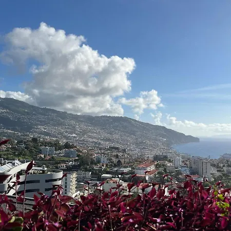 Panorama Calling Unique Individual Amazing Views Funchal (Madeira)