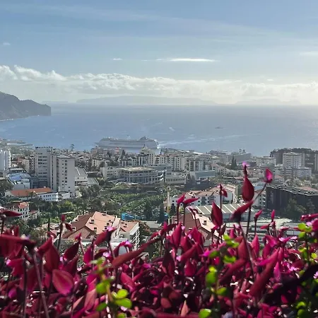 Appartement Panorama Calling Unique Individual Amazing Views Funchal (Madeira)